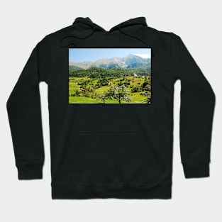 Dreznica Hoodie